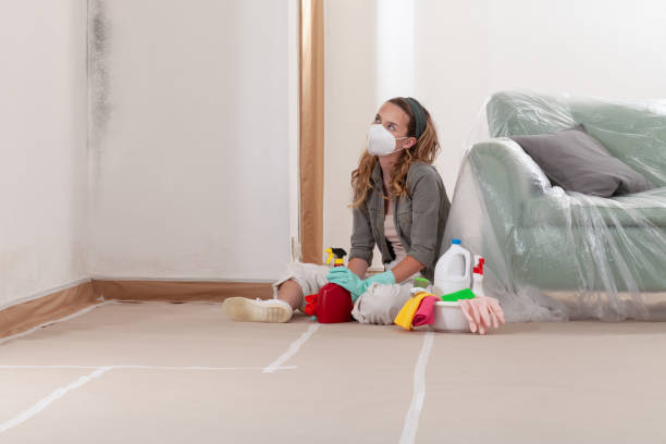Reliable Mold Inspection contractor in Sumner, WA by WQB Mold Removal